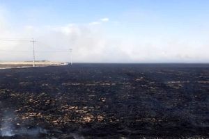 آتش سوزی در مزارع شیبکوه فسا