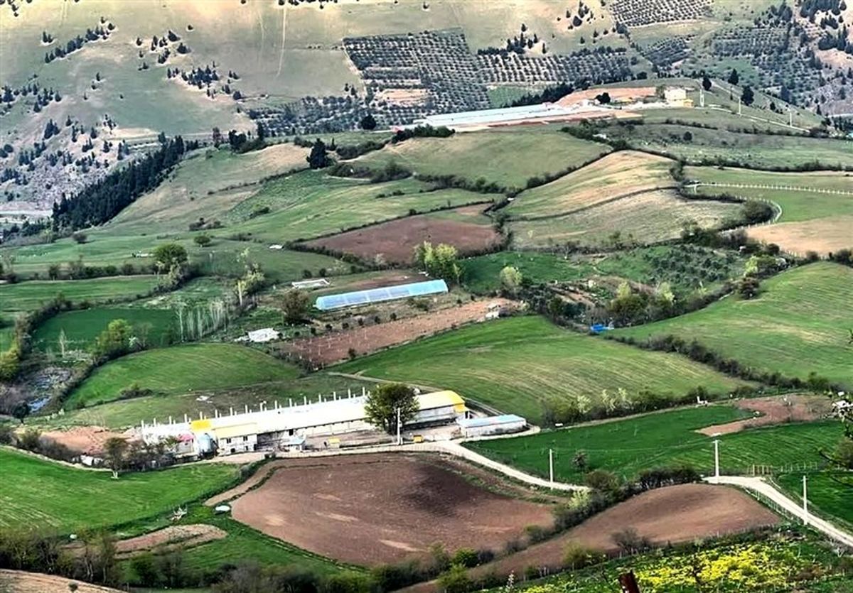 تنش ها در سیاست خارجی کشور سبب شده حاکمیت، غذا را مقوله امنیتی در نظر بگیرد / سازمان برنامه دهه 40 گفت ایران ظرفیت خودکفایی در تولید محصولات کشاورزی را ندارد و باید توسعه صنعتی پیش بگیرد/ ویدئو