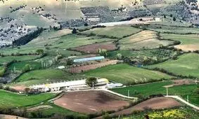 تنش ها در سیاست خارجی کشور سبب شده حاکمیت، غذا را مقوله امنیتی در نظر بگیرد / سازمان برنامه  دهه 40 گفت ایران ظرفیت خودکفایی در تولید محصولات کشاورزی را ندارد و باید توسعه صنعتی پیش بگیرد/ ویدئو