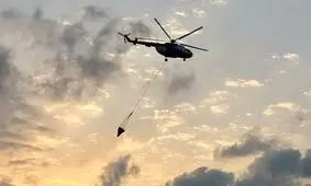 آتش‌سوزی پناهگاه میانکاله منشاء انسانی دارد