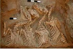 کشف مقبرۀ ۲ هزارساله از یک فرهنگ ناشناخته در سیبری