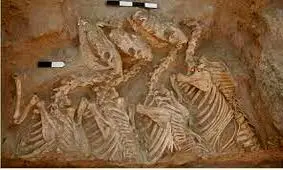 کشف مقبرۀ ۲ هزارساله از یک فرهنگ ناشناخته در سیبری