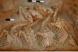 کشف مقبرۀ ۲ هزارساله از یک فرهنگ ناشناخته در سیبری