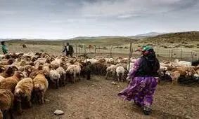 درگیری با عشایر بخاطر مسیر عبور دام 