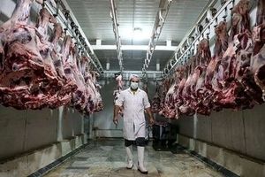 احتمال افزایش مجدد قیمت گوشت قرمز با حذف ارز ترجیحی