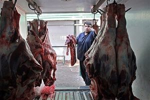 کاهش قیمت گوشت قرمز در بازار با ورود گوشت های تنظیم بازاری