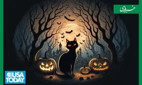 عنکبوت، خفاش و گربه سیاه چگونه وارد هالووین شدند؟