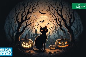 عنکبوت، خفاش و گربه سیاه چگونه وارد هالووین شدند؟