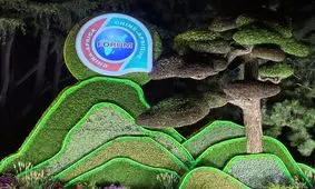 آیا سرمایه گذاری چین «تله بدهی» ایجاد می‌کند؟

