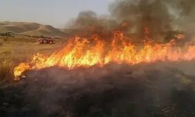 ته سیگار ۴ هکتار از مراتع سمیرم را سوزاند

