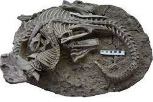 کشف فسیل ۱۲۵ میلیون ساله از لحظه شکار یک دایناسور توسط پستاندار ماقبل تاریخ