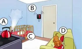 تست شخصیت شناسی/ اولین کاری که بعد از ورود به خانه انجام می دهید کدام است؟