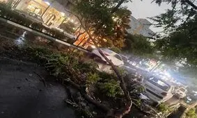 آیا طوفان خبر از زلزله می‌دهد؟