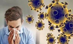 آنفلوآنزا در هفته سیزدهم سال؛ ۵ استان بالاتر از آستانه هشدار