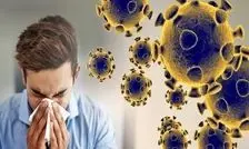 آنفلوآنزا در هفته سیزدهم سال؛ ۵ استان بالاتر از آستانه هشدار