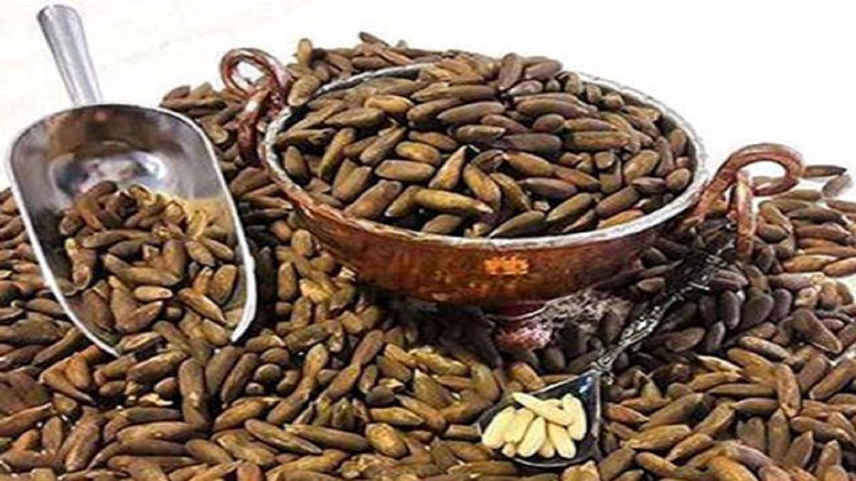 گرانترین آجیل جهان در کجا تهیه می شود؟