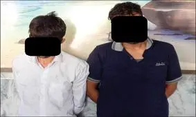 دستگیری سارقان حرفه ای در مشهد