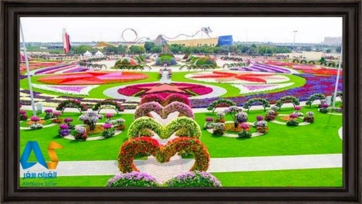 باغ گل معجزه دبی، گلستان در کویر