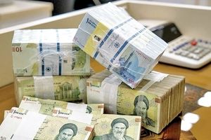 هشدار یک اقتصاددان؛ ریال به پول داغ تبدیل شده است