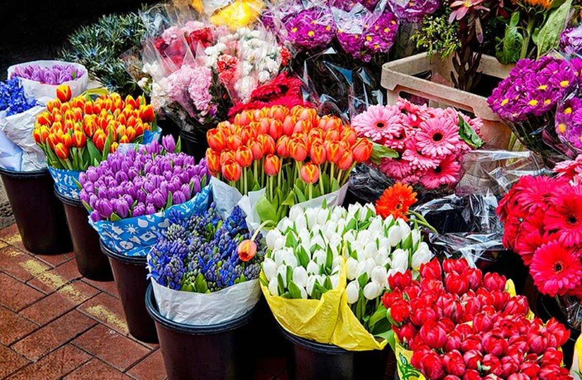 تعطیلی ۴۰ درصدی فروش آنلاین گل با محدودیتهای اینترنتی
