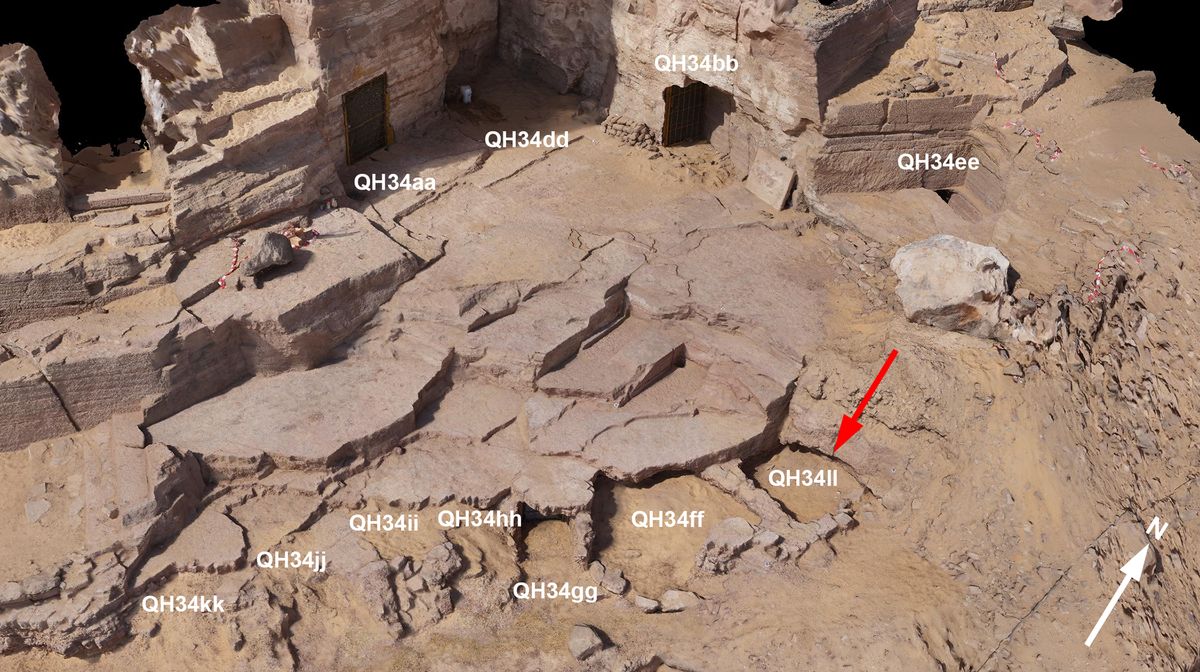 کشف غافلگیرکنندۀ ۱۰ مومیایی کروکودیل در مصر 