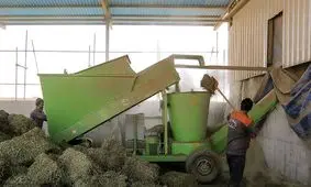 خالی فروشی وزارت نفت و بانک مرکزی/ اثر اختلالات ارزی بیشتر از تحریم‌هاست