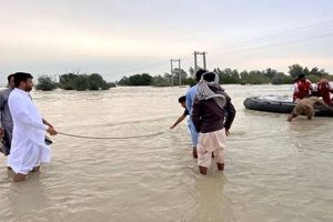 روستاییان سیستان آب سیلاب می‌خورند/ ویدئو