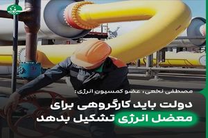 دولت باید کارگروهی برای معضل انرژی تشکیل بدهد