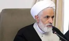 انصاری: برخی هم لباس من به مذاکره کنندگان تهمت می‌زنند