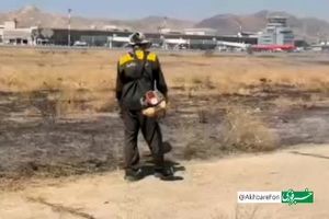 آتش‌سوزی کنترل‌شدۀ علف‌های هرز در فرودگاه مشهد/ ویدئو 