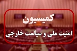 رادان در نشست کمیسیون امنیت ملی مجلس چه گفت؟/ روایت فرمانده فراجا از جنگ 12 روزه/ تشکیل کمیته ای در مجلس برای بررسی تأمین بودجه موردنیاز نیروی انتظامی