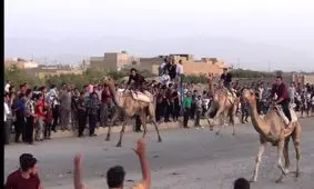 کورس شتردوانی در شاهدیه یزد