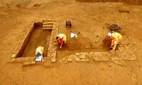 کشف شاخه‌های گل ۲ هزارساله در بقایای معبد رومی