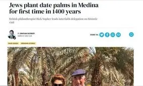 یهودیان درخت نخل در مدینه می‌کارند!