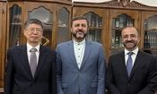 مخالفت ایران، روسیه و چین با تمدید قطعنامه ۲۲۳۱