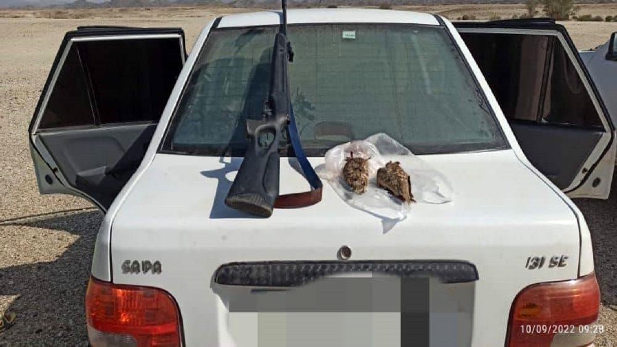 دستگیری دو نفر شکارچی غیرمجاز در نیکشهر