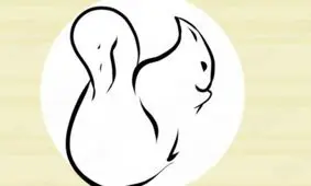 با این تست شخصیت جنبه های منحصر به فرد شیوه زندگی خود را کشف کنید