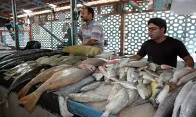قیمت ماهی قزل‌آلا شب عید چقدر است؟
