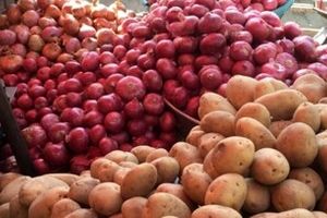 میادین و بازارهای میوه و تره بار امروز باز است؟