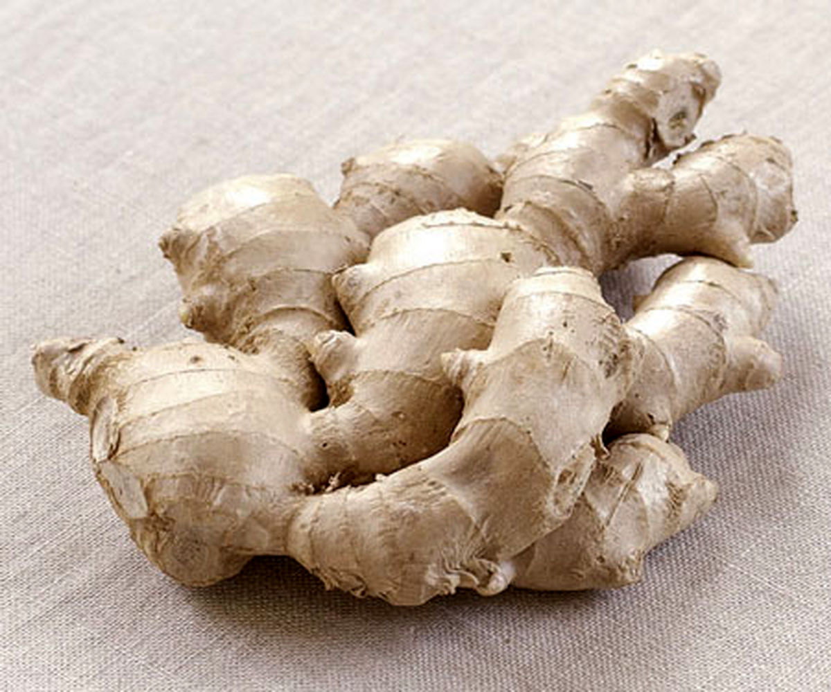 راهنمای خرید زنجبیل تازه + راههای نگهداری زنجبیل در خانه