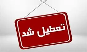 تعطیلی 2 روزه مراکز آموزشی خراسان جنوبی در پی تشدید پیک آنفلوانزا

