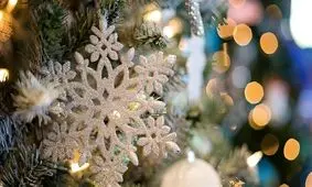 رازهای جالب از کریسمس