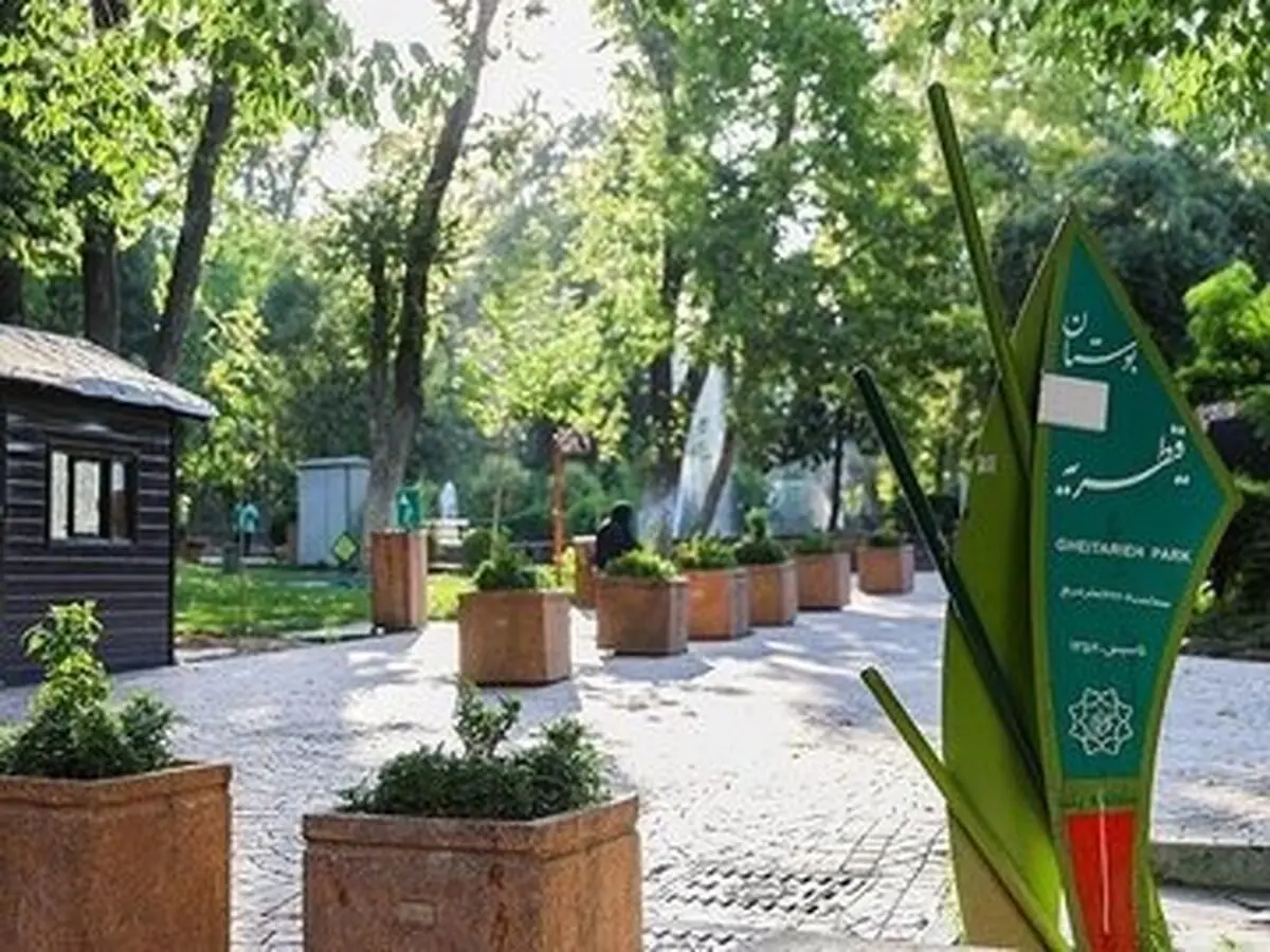 پشت پرده غیب شدن ناگهانی درختان پارک قیطریه