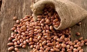 بازدهی ۱۰۰۰ درصدی لوبیا چیتی در یک سال