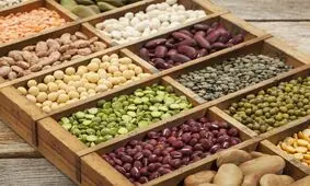 خشکسالی، احتمال افزایش واردات حبوبات را تشدید می‌کند