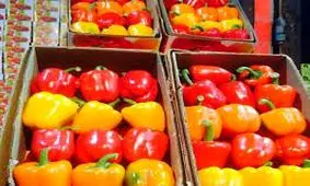 جمهوری آذربایجان مدعی شد؛ فلفل های ایران ویروسی است