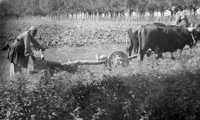 سفر به عصر قاجار؛ از حال و هوای کاروانسرا تا شازده‌کوچولوی قدّاره‌کش