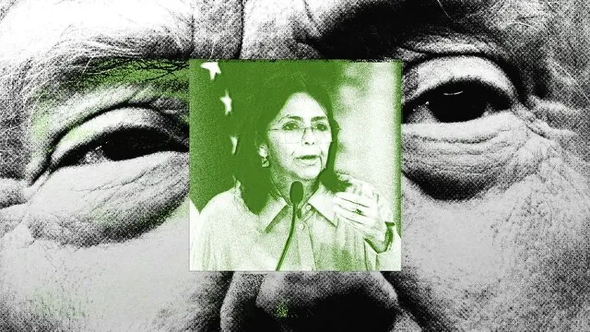 ترامپ: دلسی رودریگز ممکن است نفر بعدی باشد
