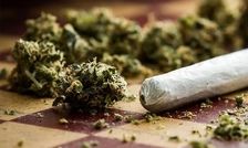 این ماده مخدر از گُل خطرناک تر است