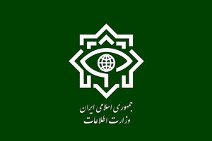 ضربه وزارت اطلاعات به ۲۳ شبکه از عوامل اخلالگر بازار ارز